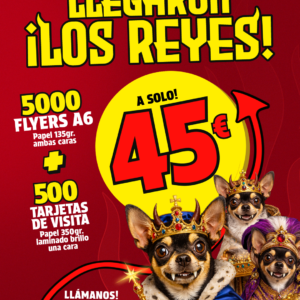 Combo Flyers y Tarjetas de visita